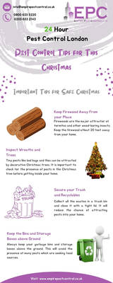 Pest Control Tips for This Christmas Party