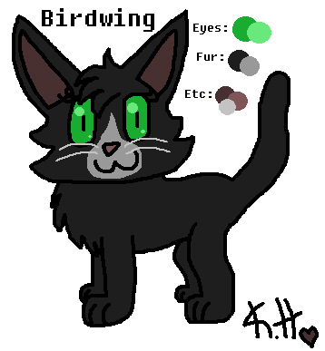 Birdwing - SkyClan