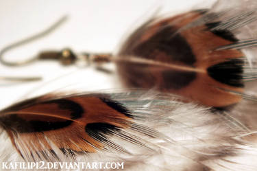 Bronzed and Banded Feather Earrings