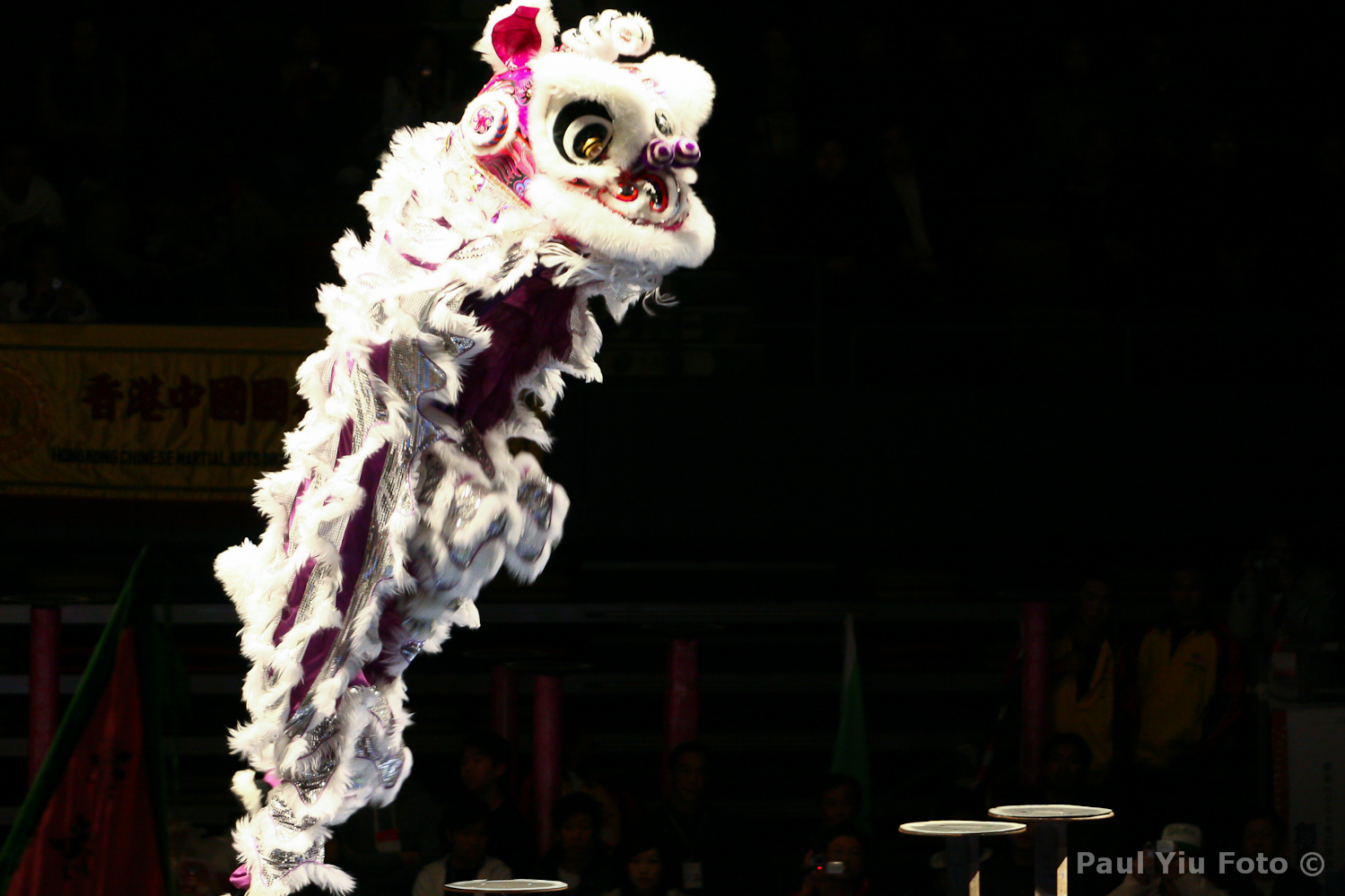 Lion Dance 02