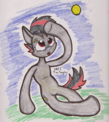 Gloomy Muffin the goth pony