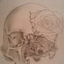 skull n rose unfin