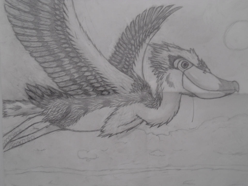 First Loftwing Drawing by PaiixofthePack on DeviantArt