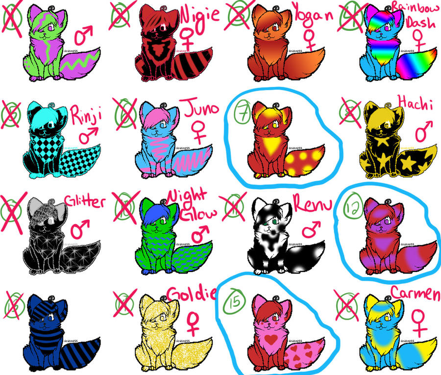 2point ADOPTS OPEN - Cheapie colorful cats!