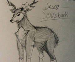 Sawsbuck