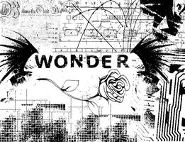 WONDER