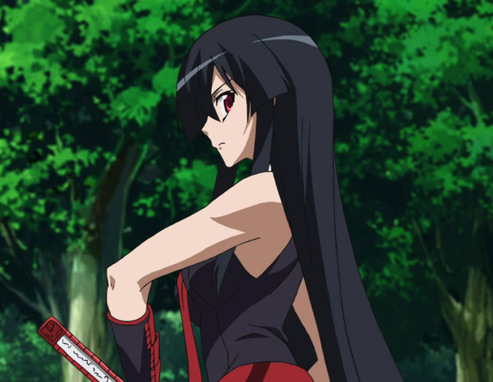 Akame Ga Kill 10 Vostfr Rutube