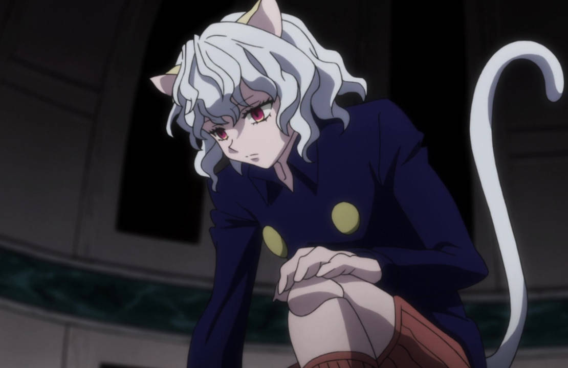 Neferpitour Neferpitou - Hunter x Hunter - Episode 110 by AcidWaifu on DeviantArt