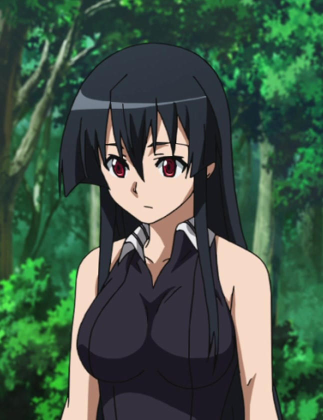 Akame - Akame ga Kill! - Episode 10 by AcidWaifu on DeviantArt