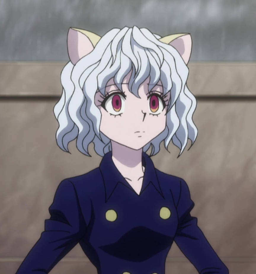 Neferpitour Neferpitou - Hunter x Hunter - Episode 105 by AcidWaifu on DeviantArt