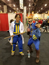 vault dwellers