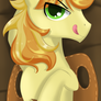 Braeburn Back