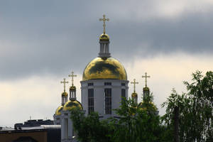 Bucha story from one day of life in the city2