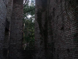 1dsc02466