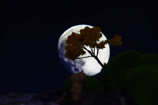 composition lunar autumn golden sleep