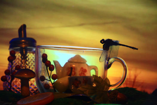 composition autumn nostalgic evening tea time