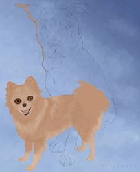 Work In Progress . Commissioned Canine Portrait