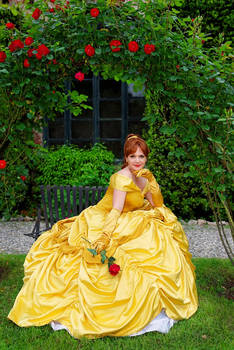 Belle- The Beauty and the Beast