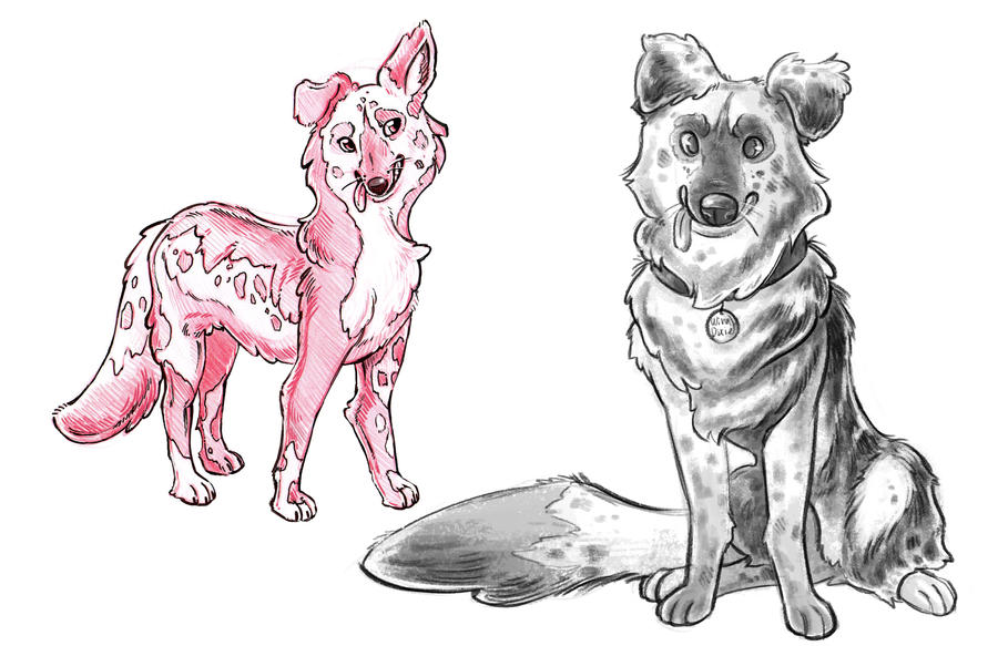 Winn-Dixie By Nynjakat On Deviantart
