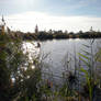 Autumn Pond