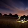 Freedom