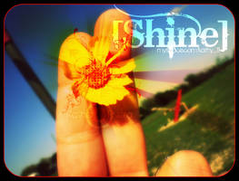 Shine