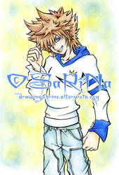 + Sora +