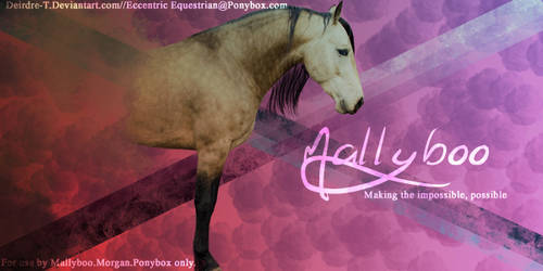 Mallyboo Barn Banner