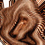 Tigerskin Wave