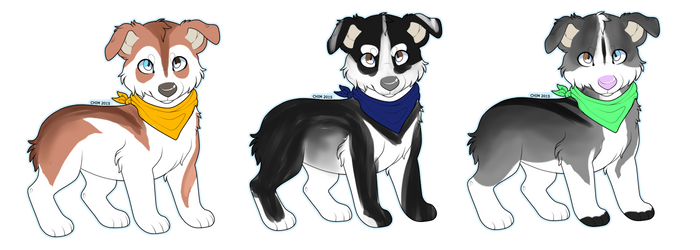 . Husky Adopts .