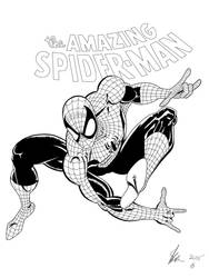 The Amazing Spider-Man