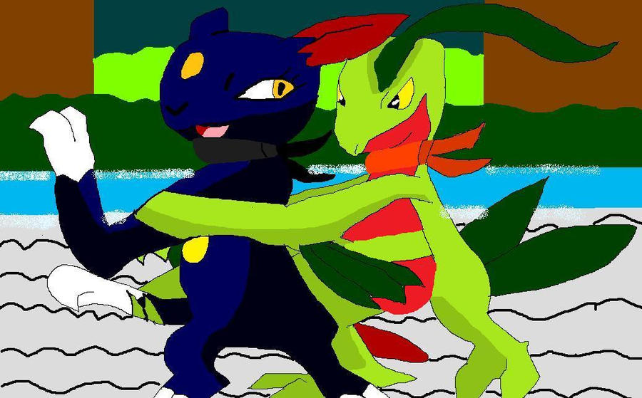 PMD: Oh, It's You, Grovyle