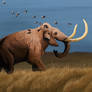 Steppe mammoth 