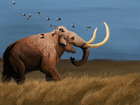 Steppe mammoth 