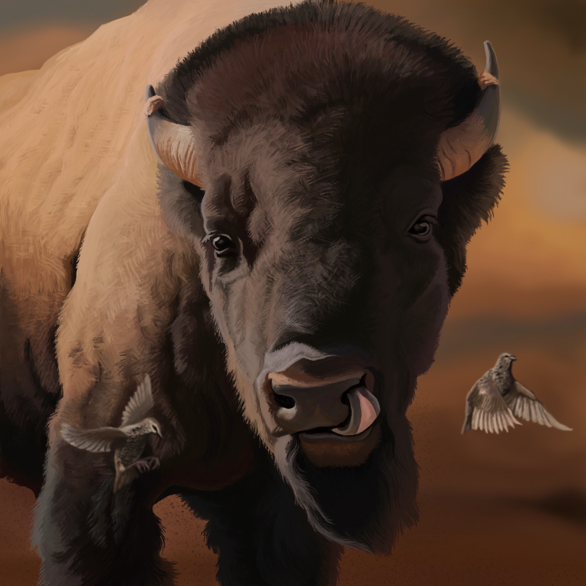 Bison Deviantart American Bison by agustindiazart on DeviantArt