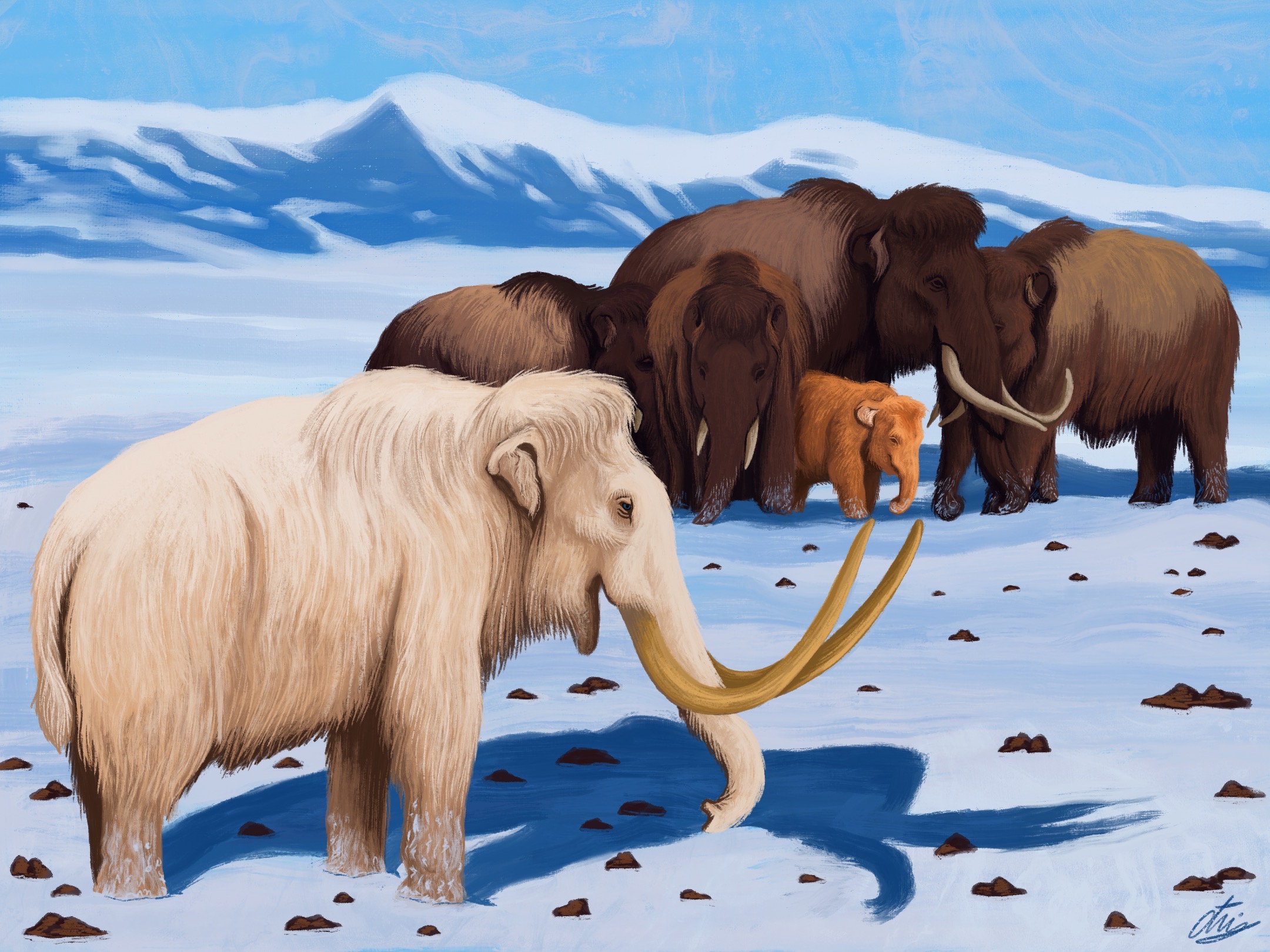 White mammoth by agustindiazart on DeviantArt White mammoth by agustindiazart on DeviantArt