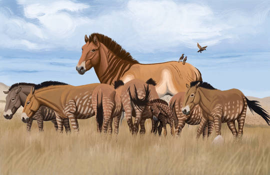 Equus giganteus 