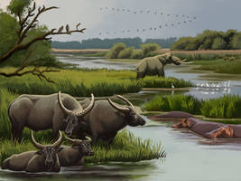 Danuve Delta