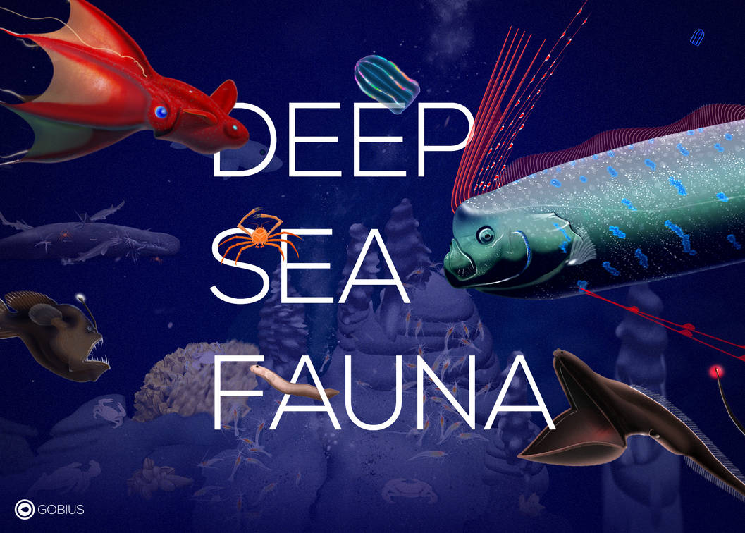 Deep Sea Fauna (Mashup)