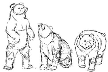 Bear Sketch