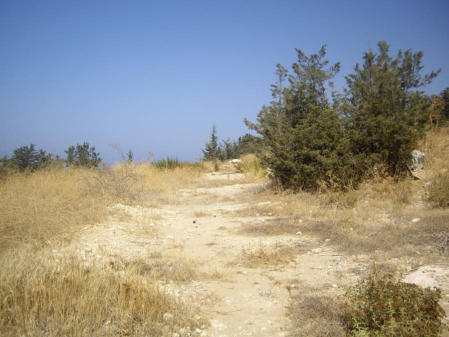 scrubland stock 1 by HumbleBeez