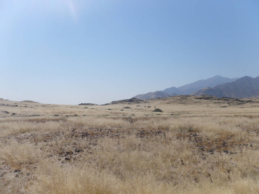 desert background stock 2 by HumbleBeez