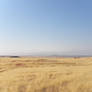desert background stock 3