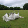 horse rolling stock 8