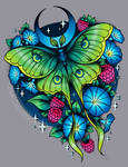 Luna Moth Commission by PeregrineJazmin