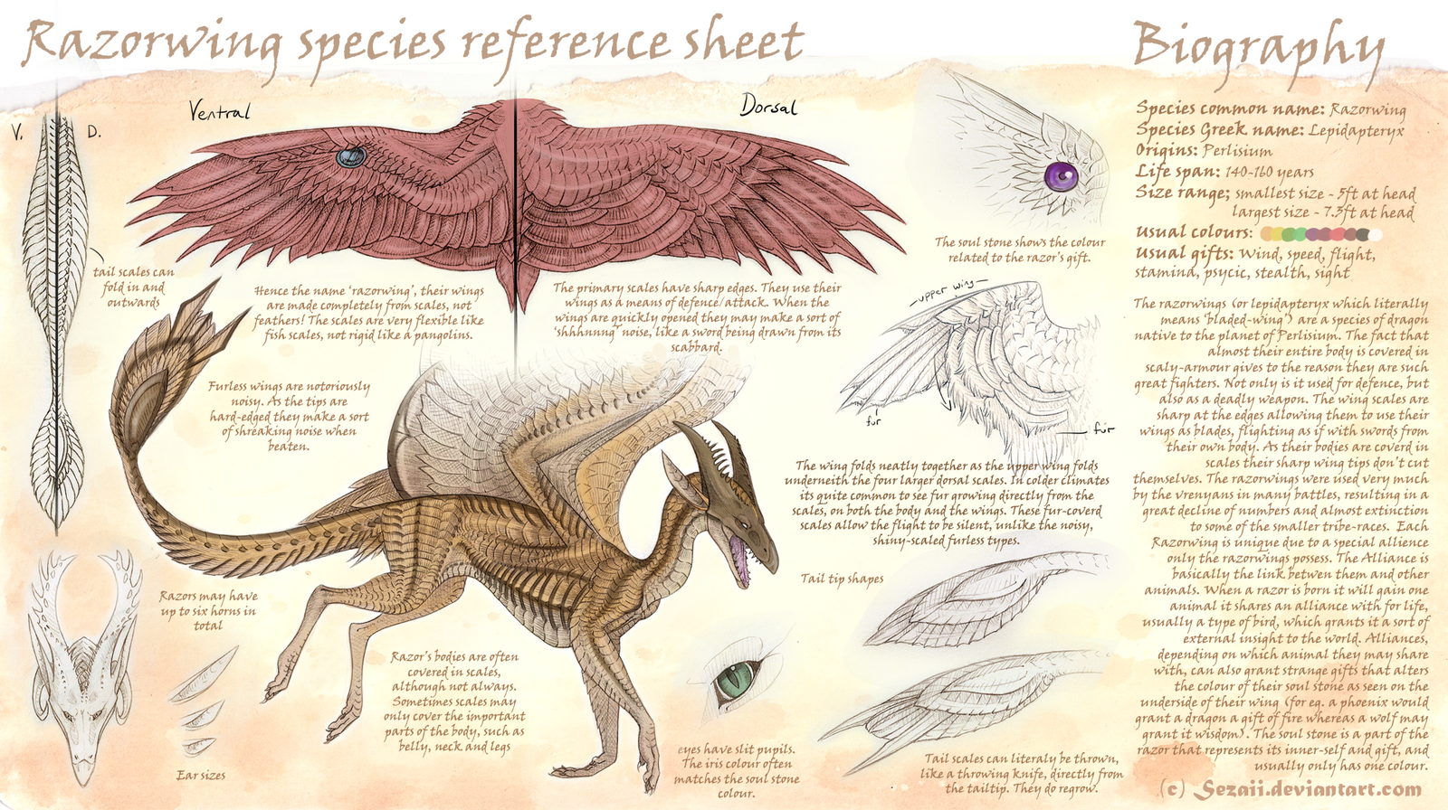 Razorwing species reference (temp)