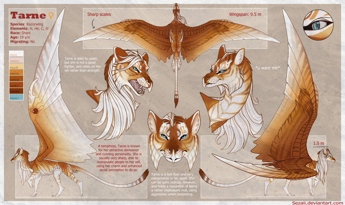 Tarne Tarne reference by Sezaii on DeviantArt