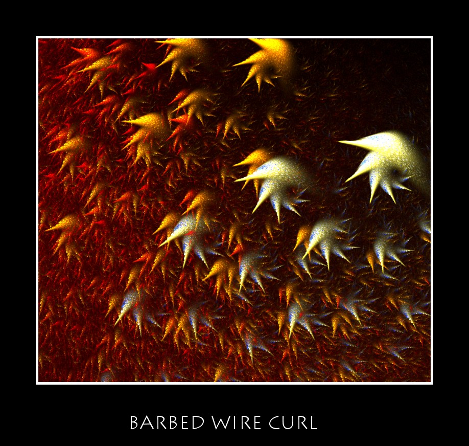 Barbed wire curl