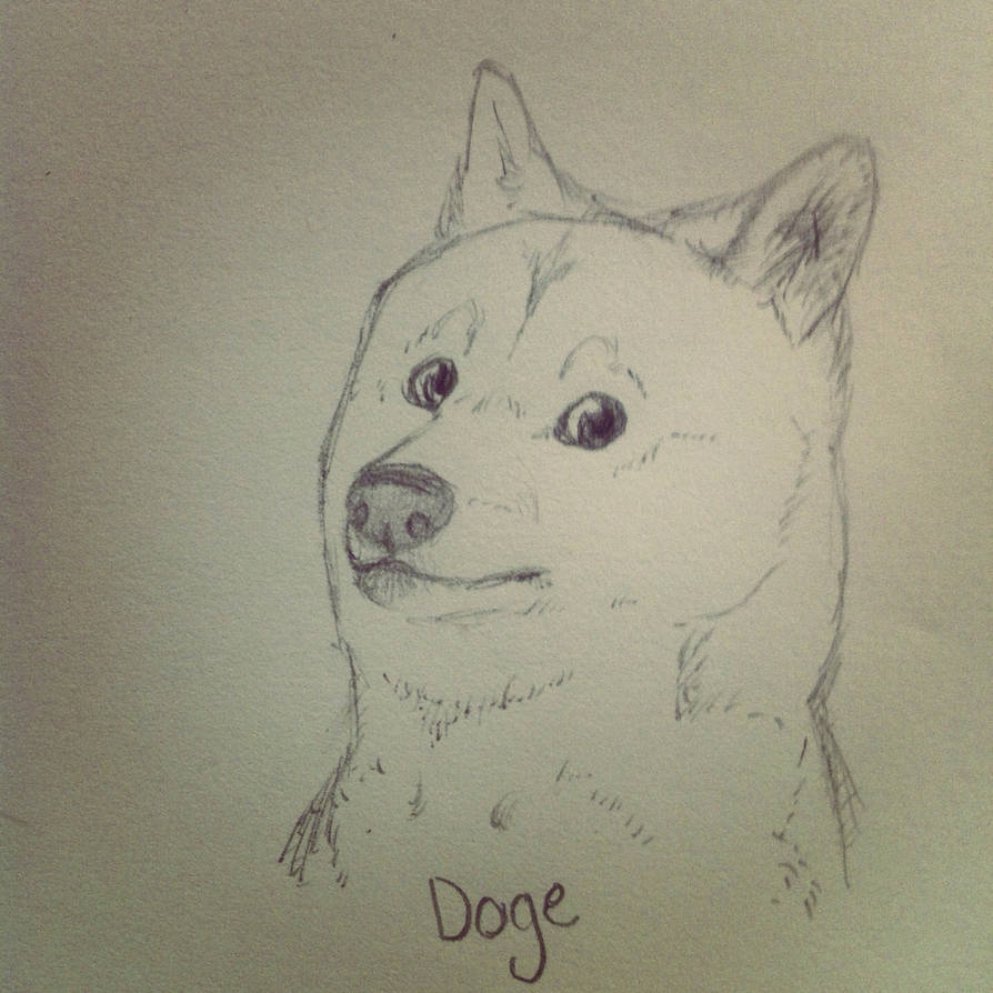 Doge by SketchWolf121 on DeviantArt