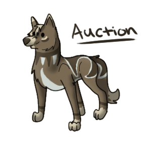 Auction